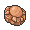 Kopffossil